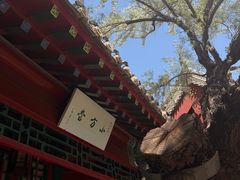 -莲池书院博物馆