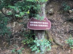 -大余丫山旅游度假区