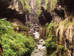 -鹿院坪生态旅游景区