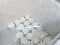 -洪馨椰子