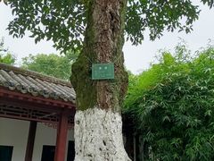 -黄鹤楼