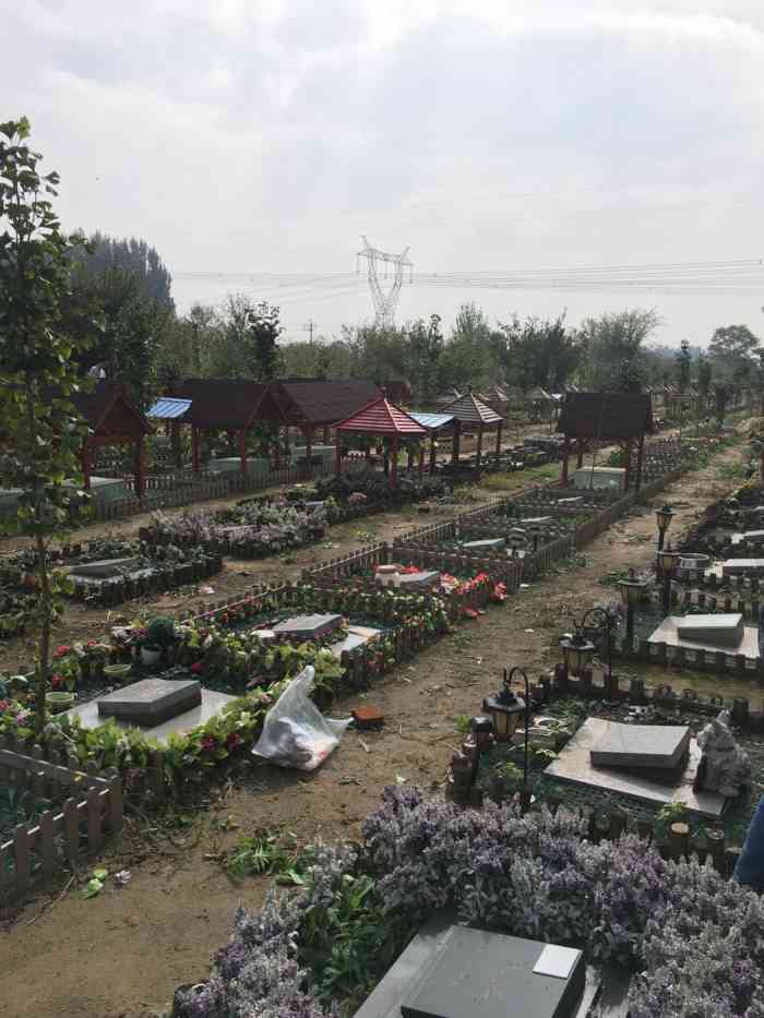 天使城宠物墓园-"今天去墓地看看小黑.一到天使城吓了一.