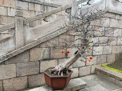 -无锡惠山寺