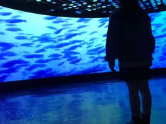 -同济大学四平路校区深海探索馆