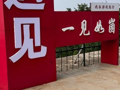 -抱犊崮国家森林公园