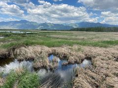 -野鸭湖国家湿地公园