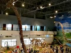 -自贡恐龙博物馆