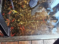 -颐和•海鲜砂锅粥•啫啫煲(奥林匹克广场店)
