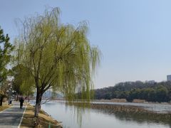 -月湖风景区