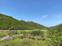 -大围山国家森林公园