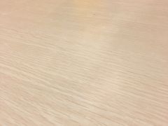 -上海海洋水族馆