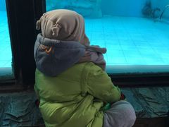 -北京动物园
