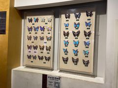 -陕西自然博物馆