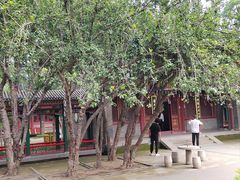 -荣国府