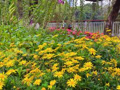 -人民公园(罗湖区)