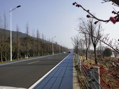 -香雪海