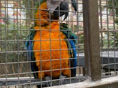 -南宫五洲植物乐园