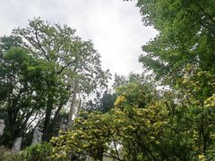 -北京市劳动人民文化宫(太庙)
