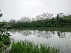 -新江湾城公园