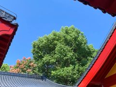 -溱湖国家湿地公园