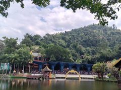 -西双版纳原始森林公园