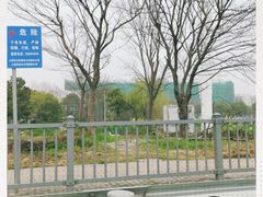 -上海市松江区泗泾医院