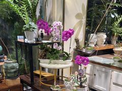 -弗劳尔花艺坊(龙涛店)