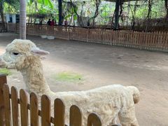 -呀路古热带植物园