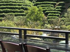 -心无尘茶餐馆(径山村店)