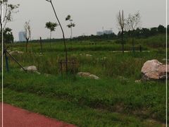 -春花秋色城市公园