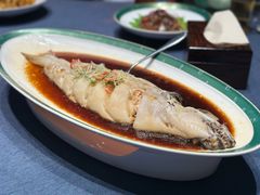 清蒸狮麟鳐鱼-金狮麟·新豫菜(金码大厦店)