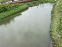 -嘉北郊野公园