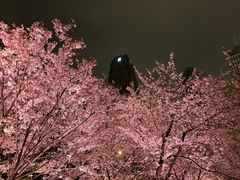 -西北湖绿化广场