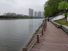 -沙澧河风景区