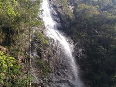 -九龙江国家森林公园