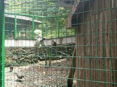 -藏龙百瀑风景区