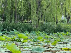 -WhaleSports户外水上运动俱乐部(朝阳公园店)