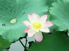 -浮庄