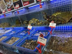 水产区-必点海鲜·鲅鱼水饺(鞍山西道店)