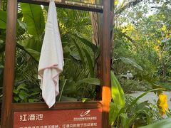 -碧桂园润杨溪谷温泉酒店