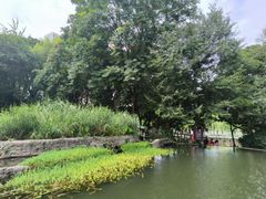 景点-成都市活水公园