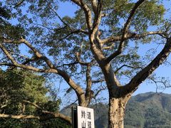 -羚羊峡古栈道森林公园