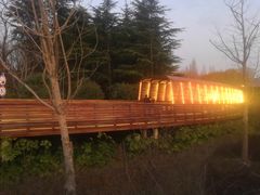 -昆山城市生态森林公园