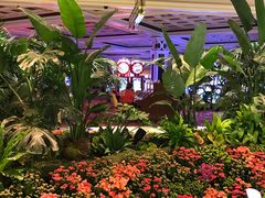 -拉斯维加斯永利酒店