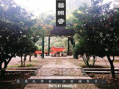 -泰山风景名胜区-普照寺