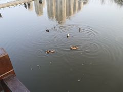 -前关湿地公园