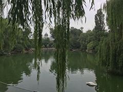 景点-北京动物园