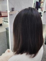 -YESIDO椰岛造型