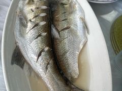 清蒸白丝鱼-芸海阁·农家私房菜(沙家浜景区出口店)