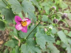 -金堂县云顶石城风景区
